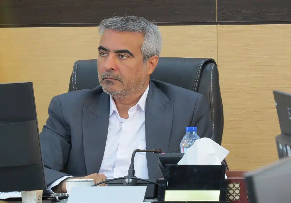 هاشمی مدیرعامل
